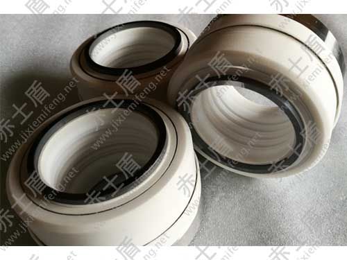 WB2機械密封 WB2機械密封3.jpg